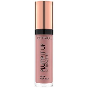 CATRICE CATR. PLUMP IT UP LIP BOOSTER 040