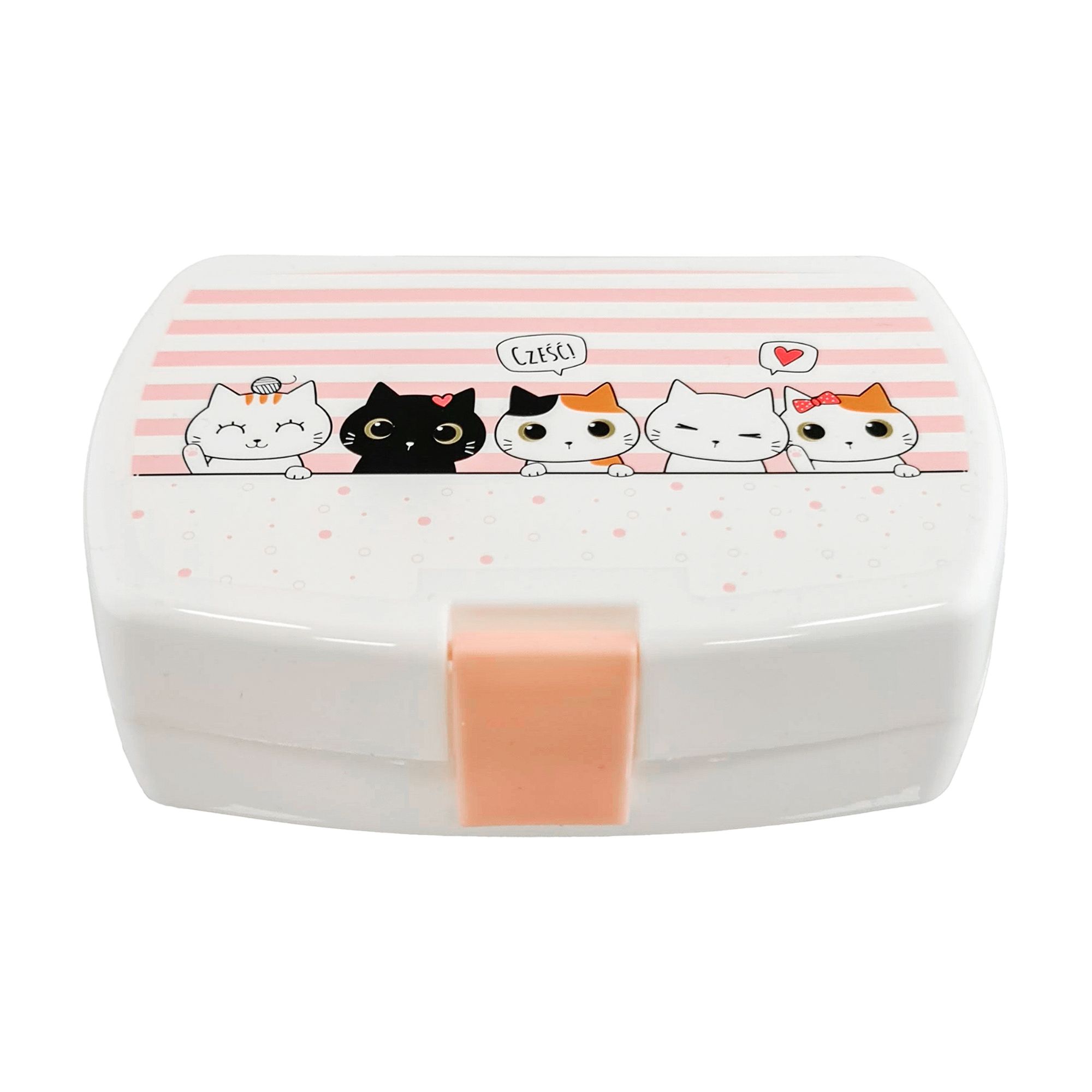 Lunchbox Kotki