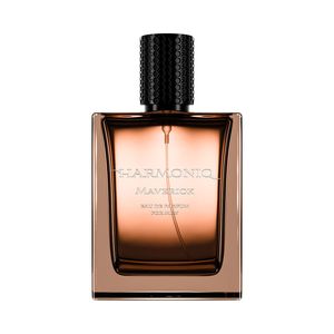 HARMONIQ MEN MAVERICK perfumy męskie ambrowo-przyprawowe 100ML