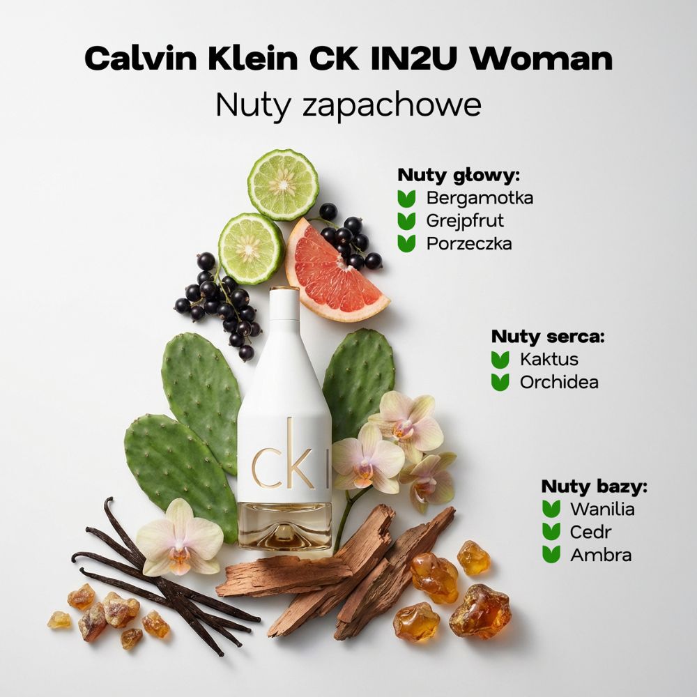 Calvin_Klein_IN2U_piramida