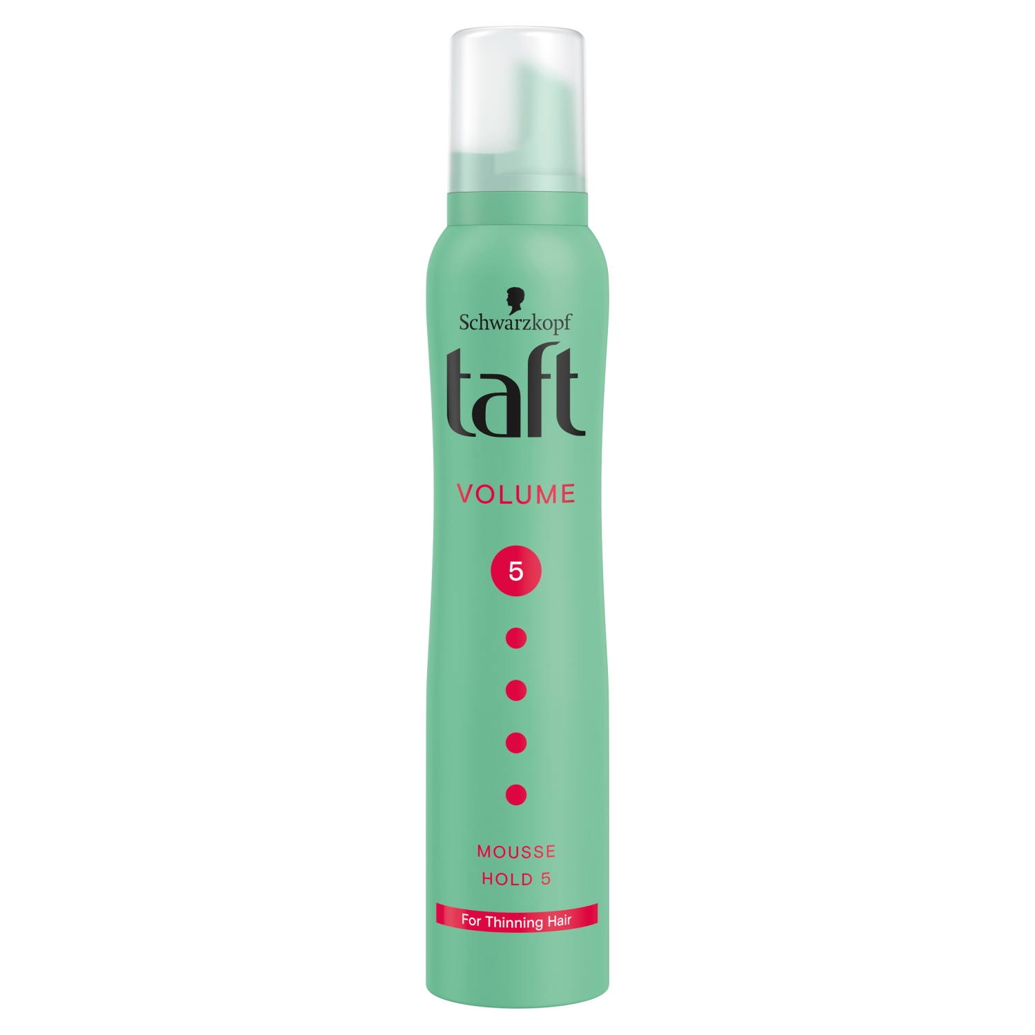 Taft Volume 5 Pianka do włosów 200 ml