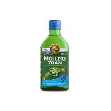 MÖLLER'S MOLLER'S TRAN NORWESKI OWOCOWY 250ML