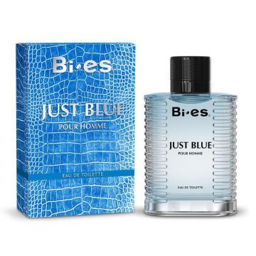 Bi-es Just Blue Woda Toaletowa Dla Mężczyzn 100 ml