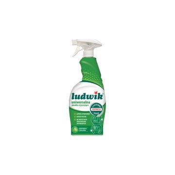 Ludwik Uniwersalna Pianka Czyszcząca 750 ml