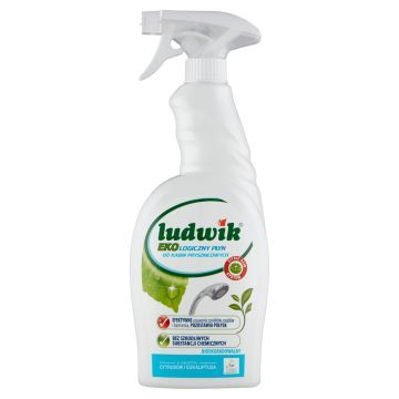 Ludwik Eko Płyn Do Kabin Prysznicowych 750 ml