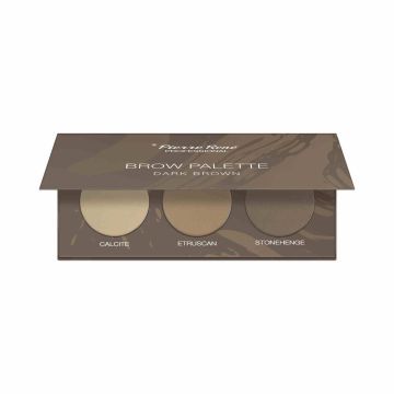 PIERRE RENE Paletka Cieni Do Brwi Dark Brown 39 g