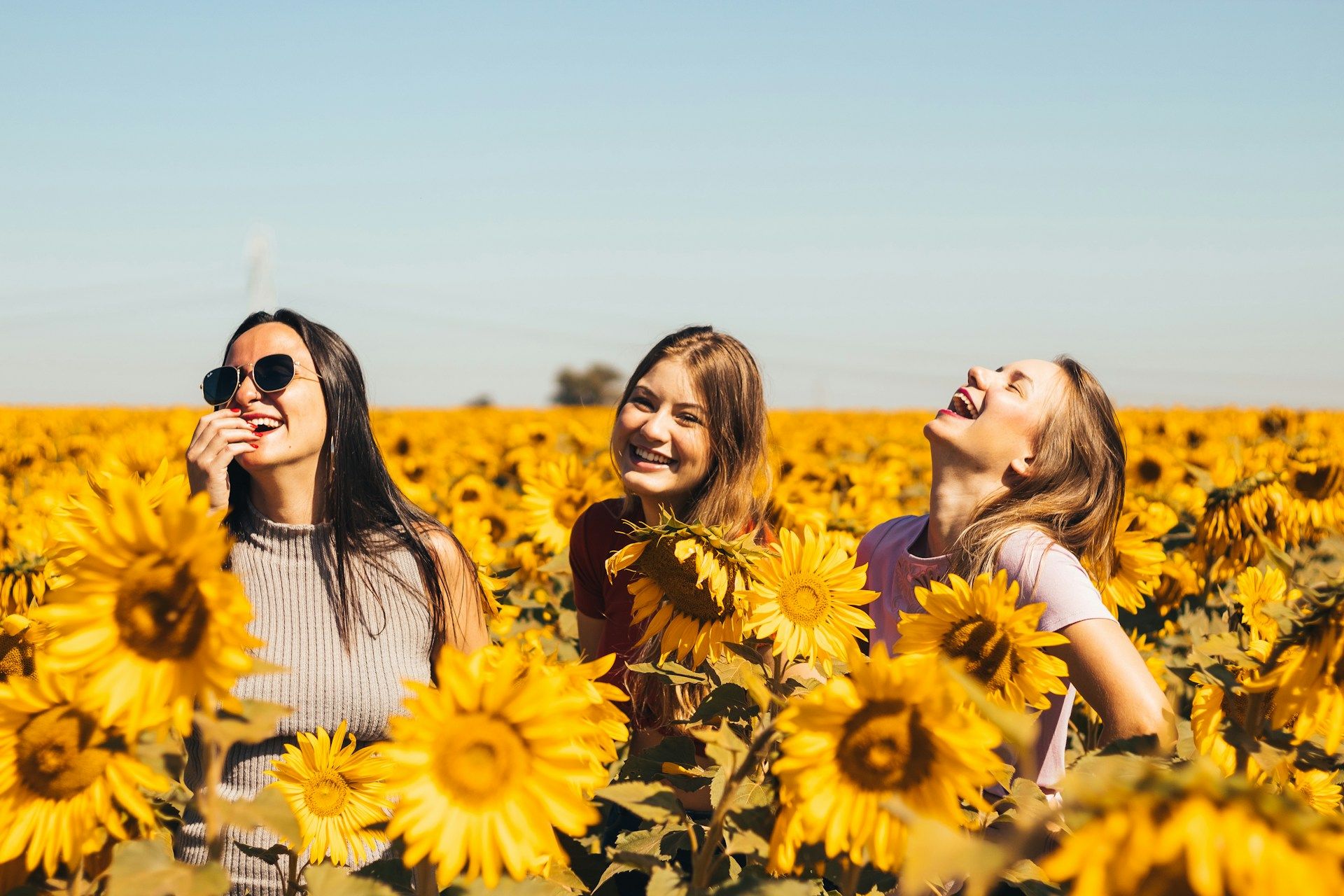 Trzy radosne kobiety na polu słoneczników