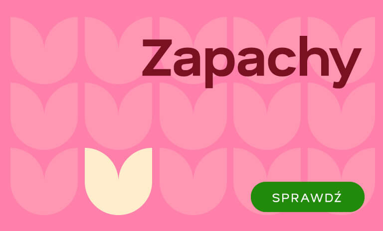 Zapachy