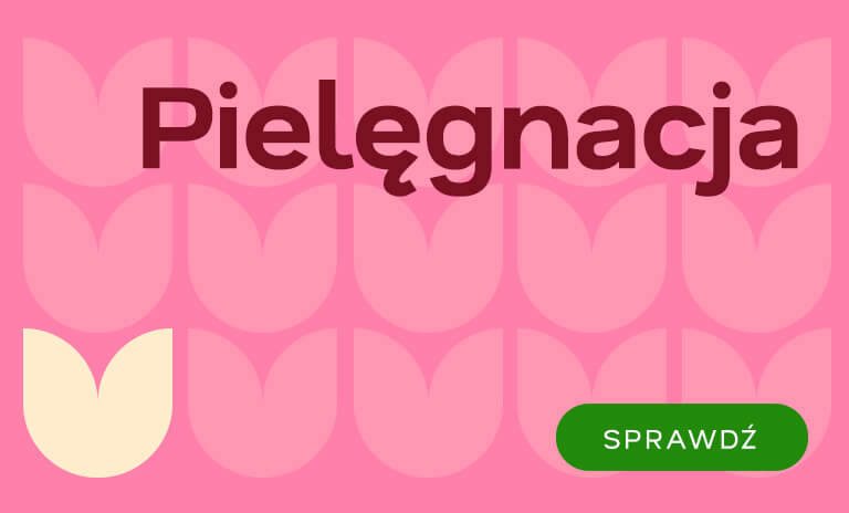 Pielęgnacja