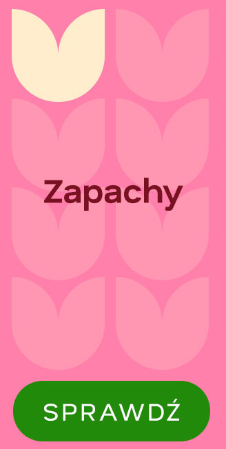 Zapachy