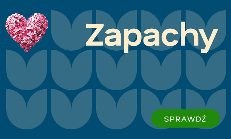 Zapachy