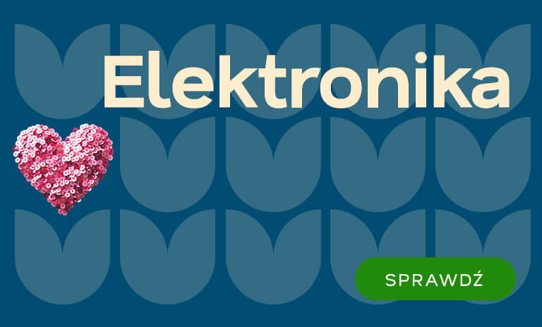 Elektronika
