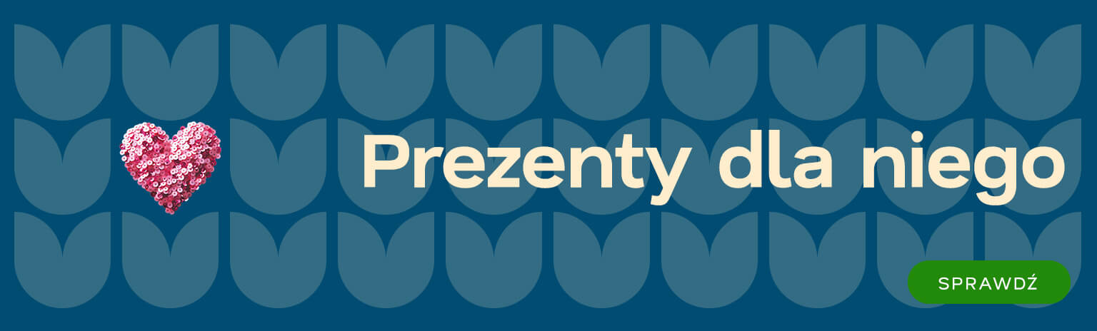 Prezenty dla niego