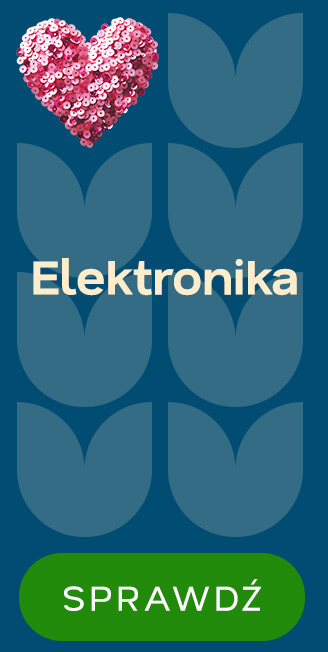 Elektronika