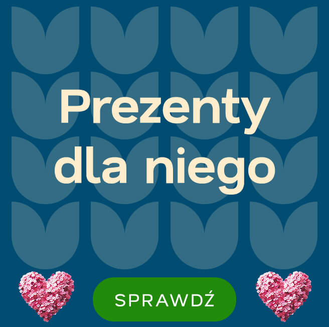 Prezenty dla niego