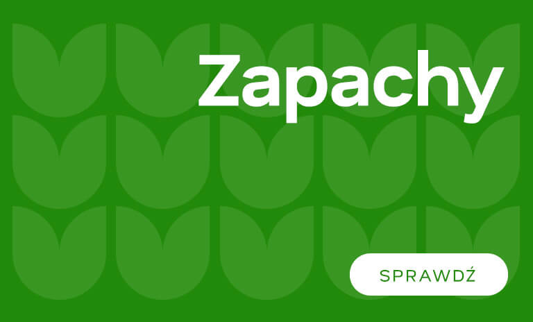 Zapachy