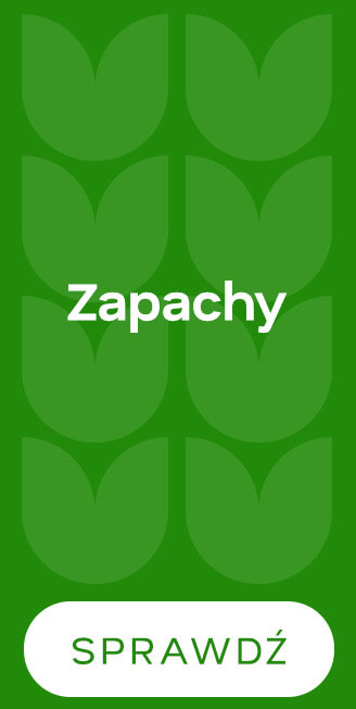 Zapachy