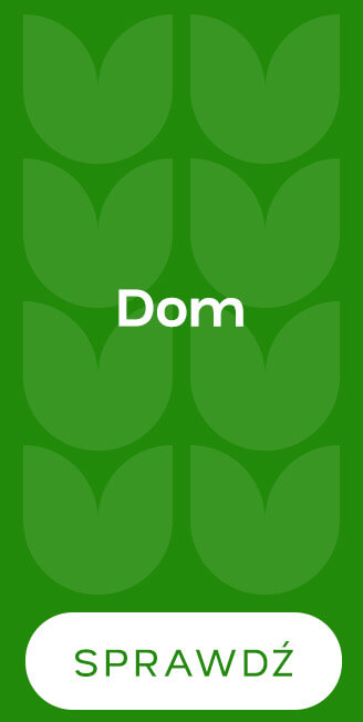 Dom