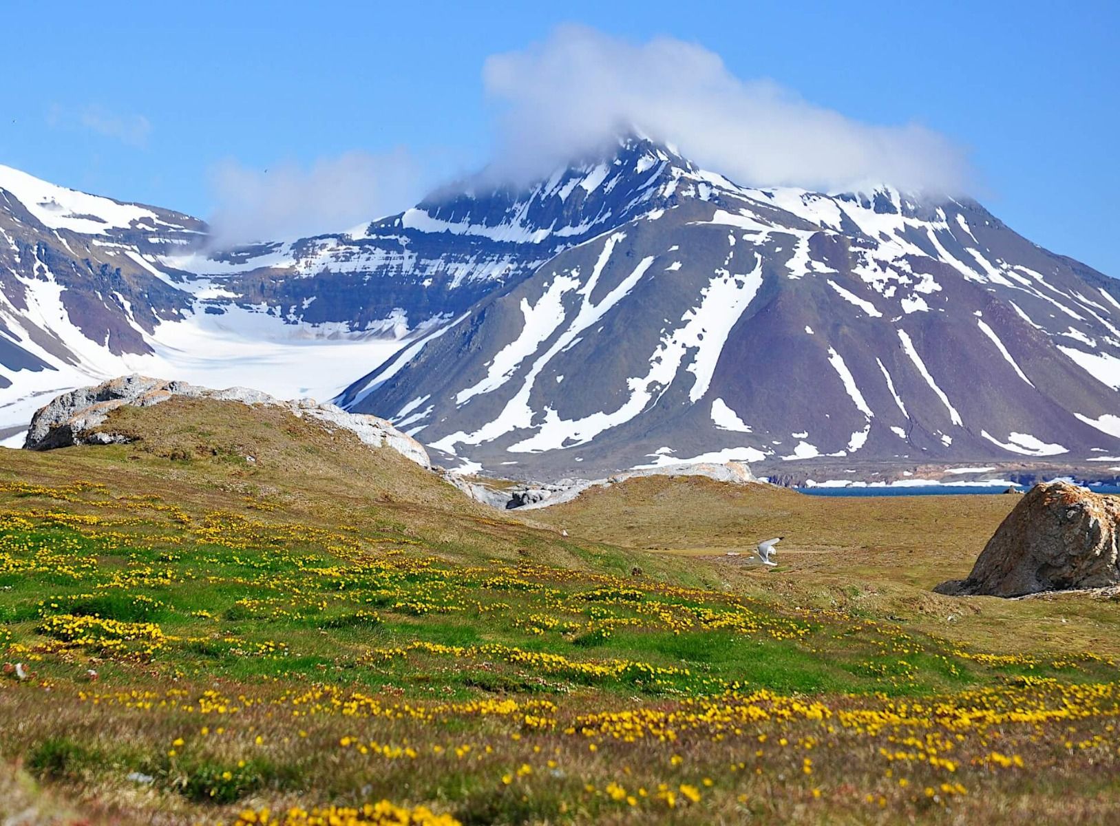 Svalbard