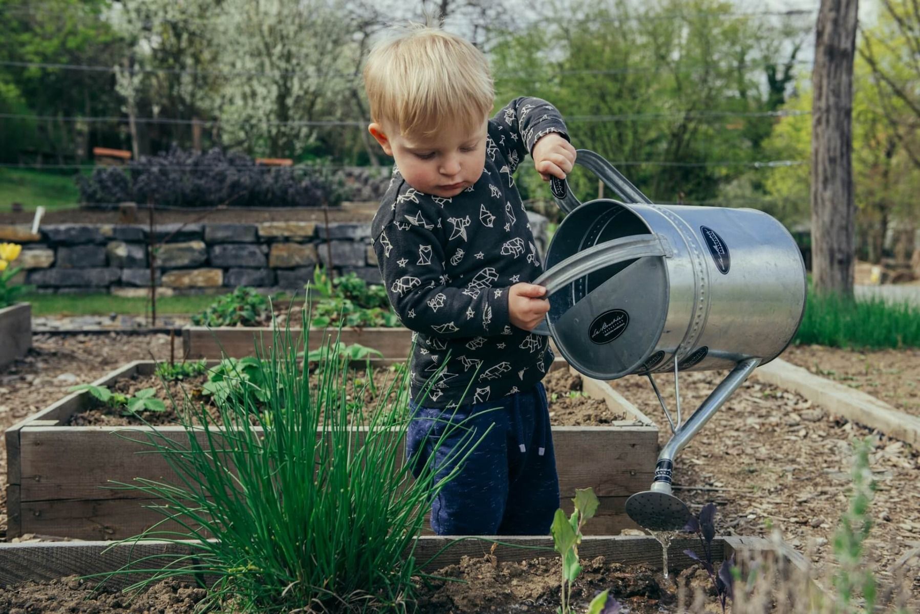chłopiec podlewa rośliny w ogrodzie